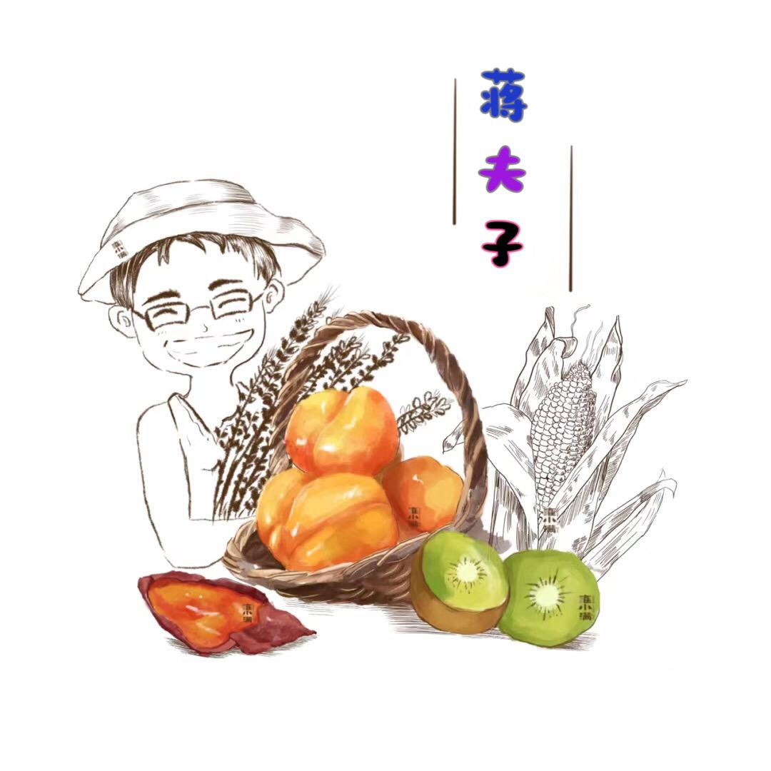 助农老蒋