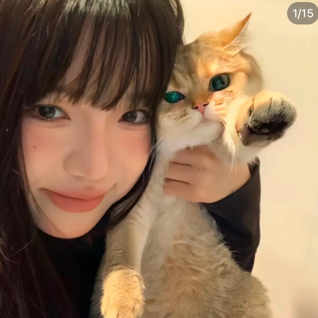 陈二狗