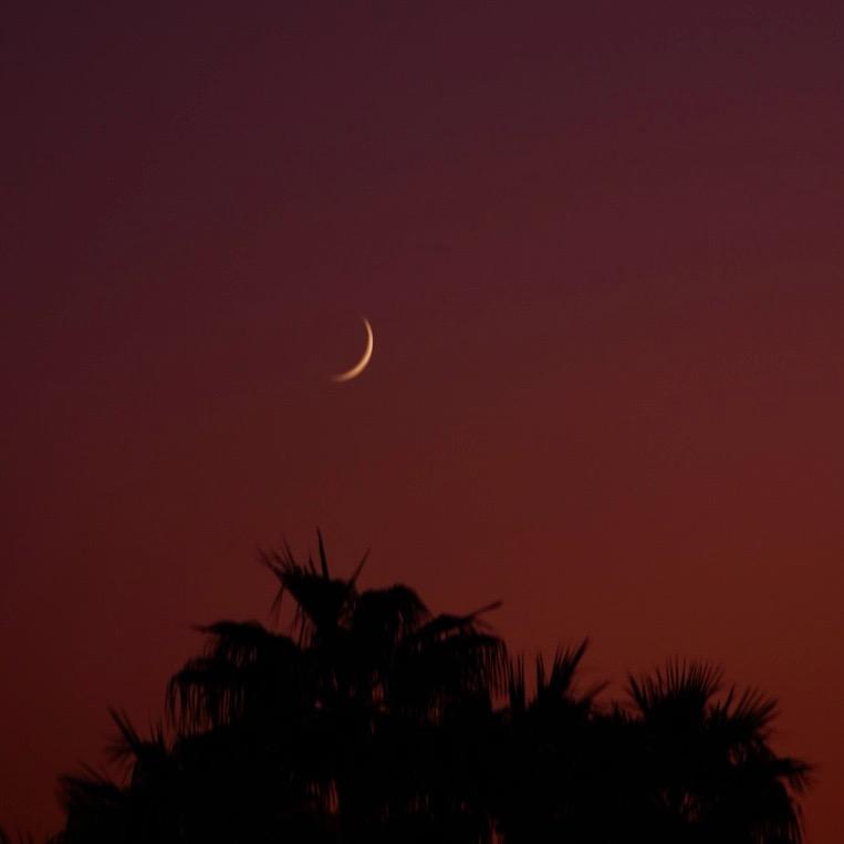 非魔法速瘦胶囊