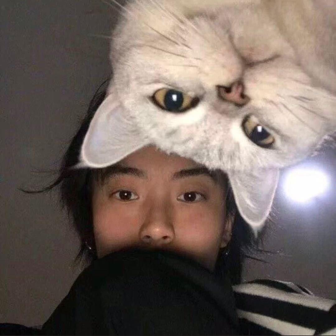 刘不住的宝