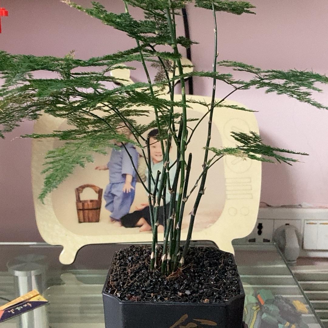 归元百货