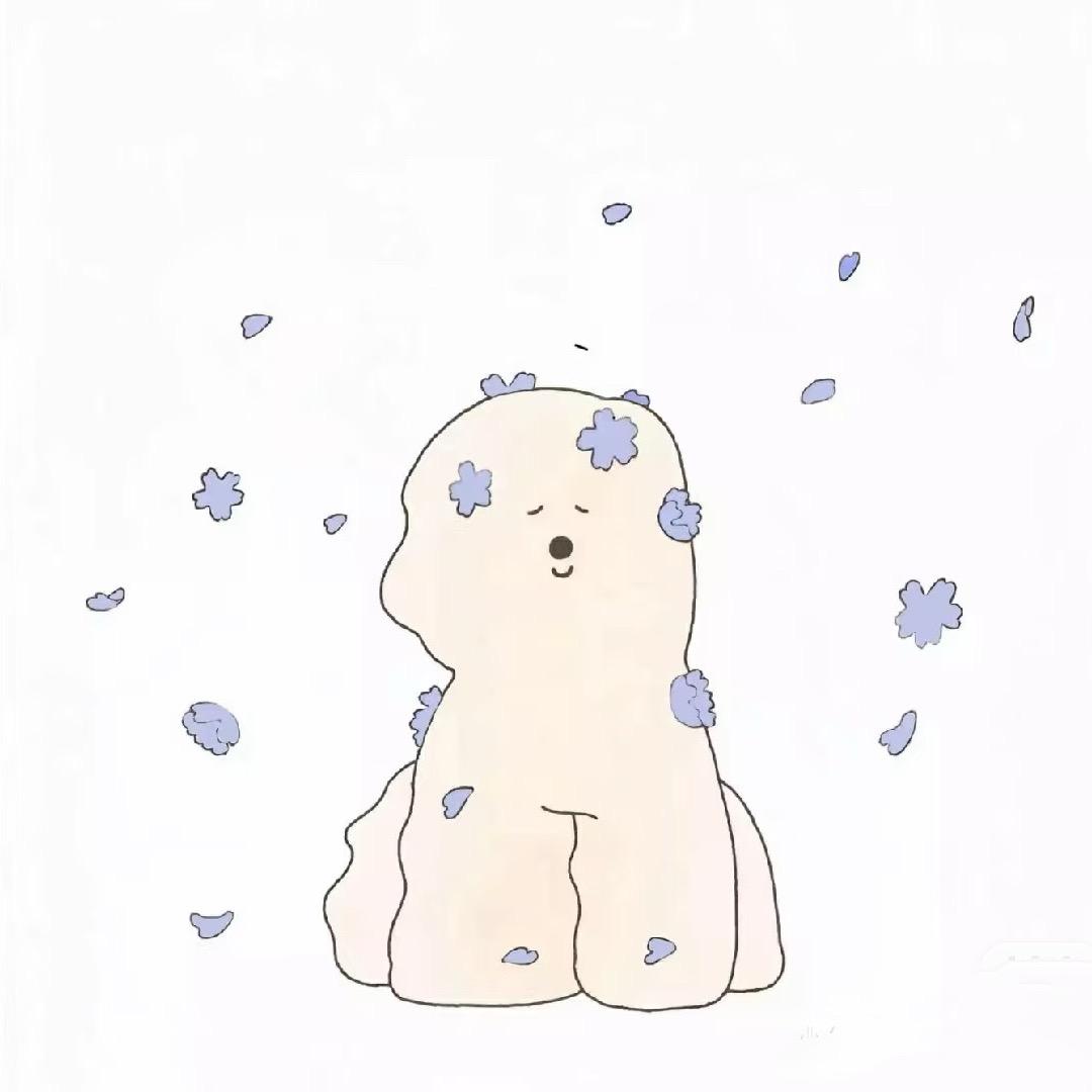 一把柚子叶