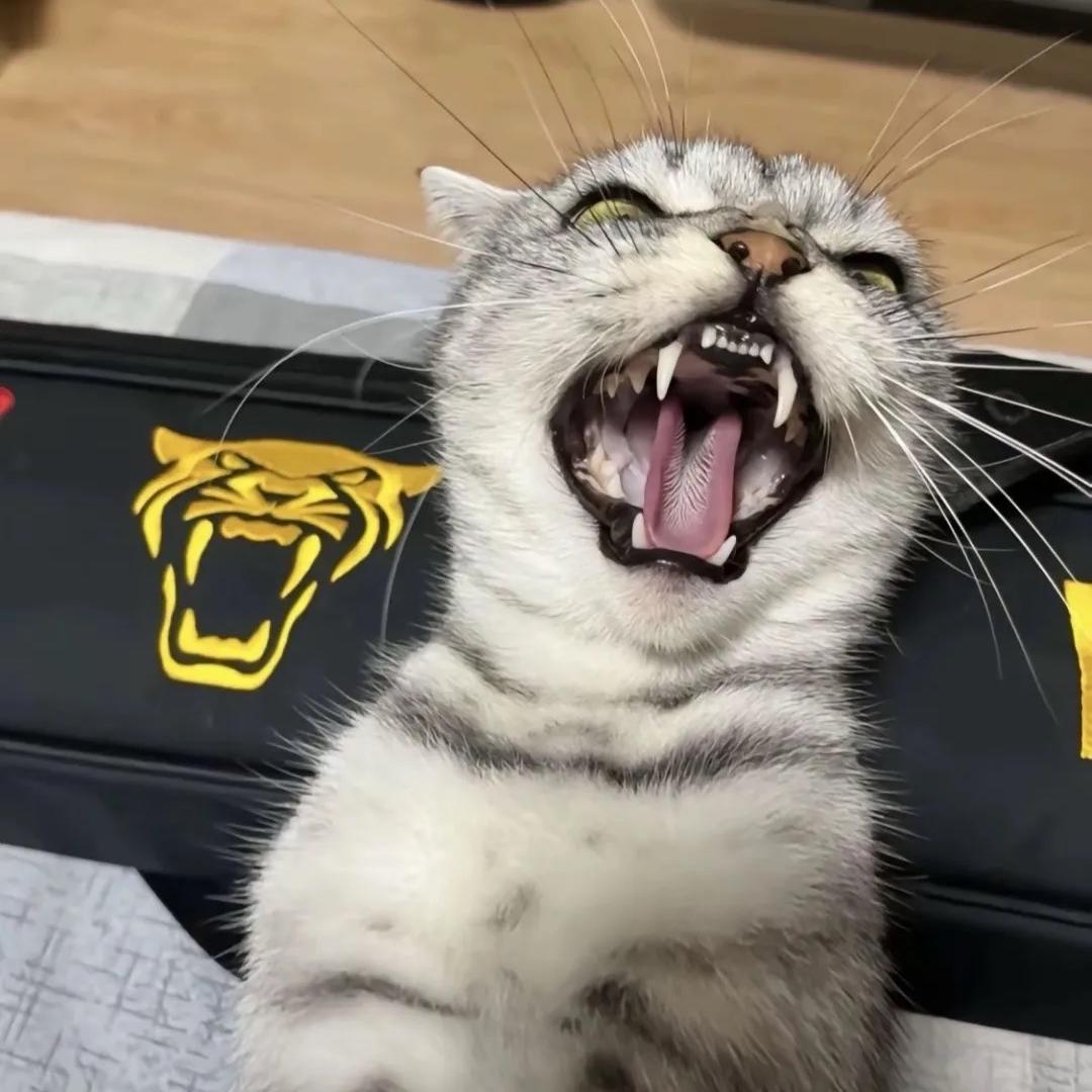 山东大院精彩人生