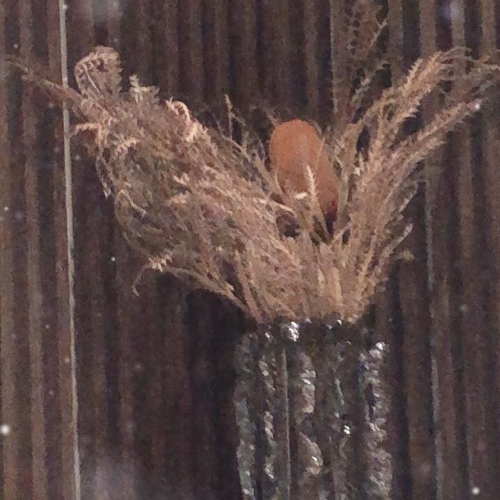 品质优选好物