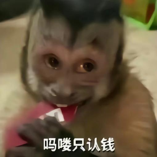 牛肉酱