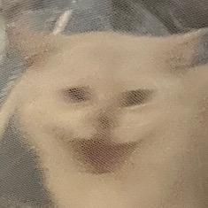 爱吃玉米须须的小黑