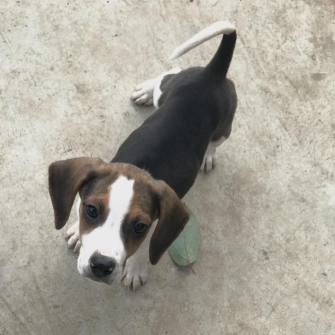 王 33 （很焦虑）