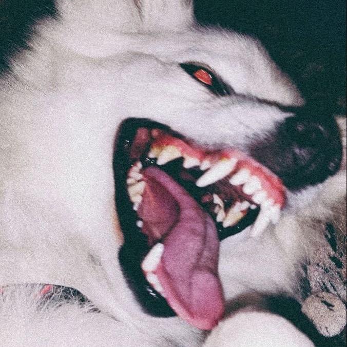 绯山
