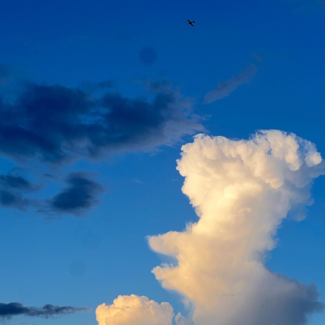 福气小杨（关注领资料）