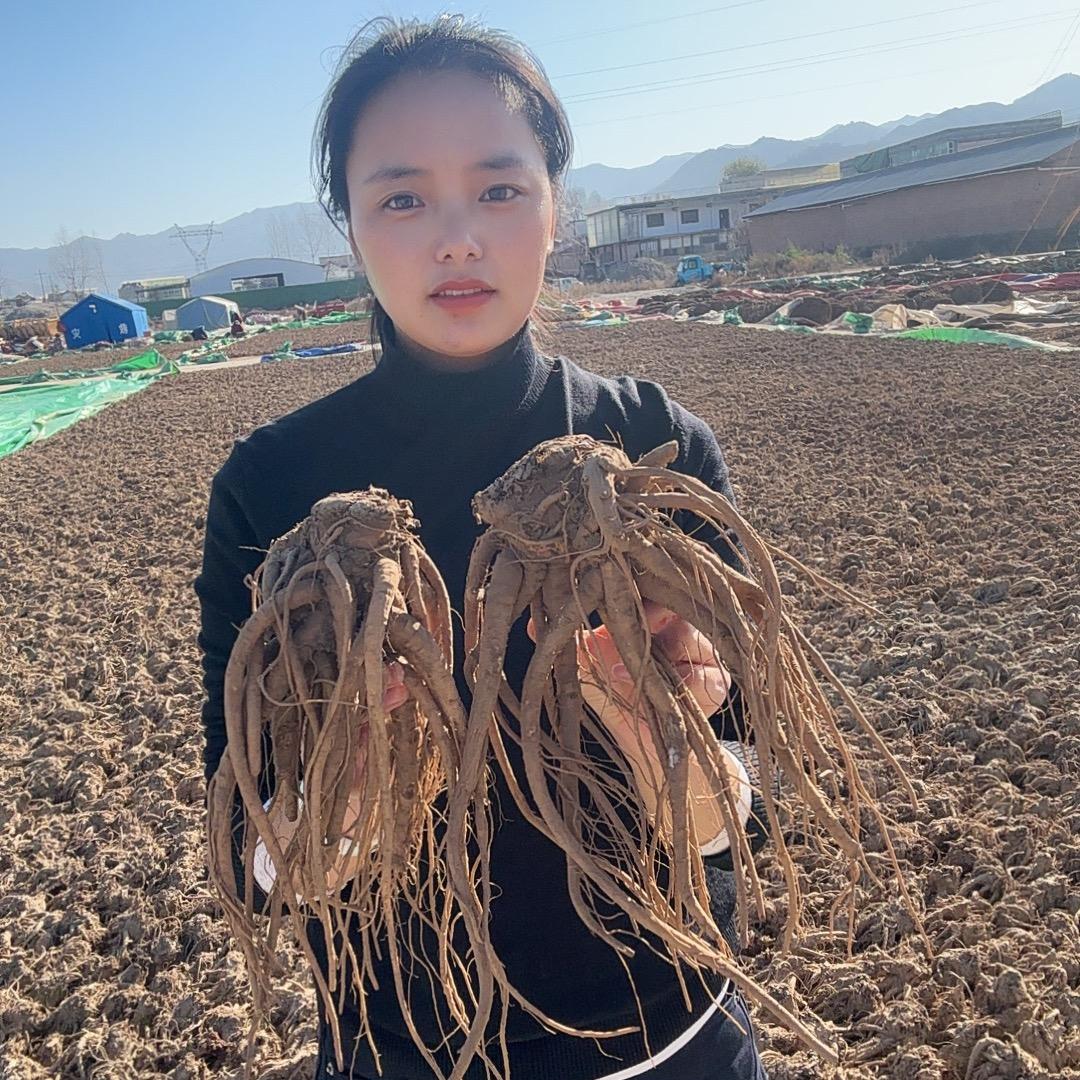 岷归姑娘小丽农产品