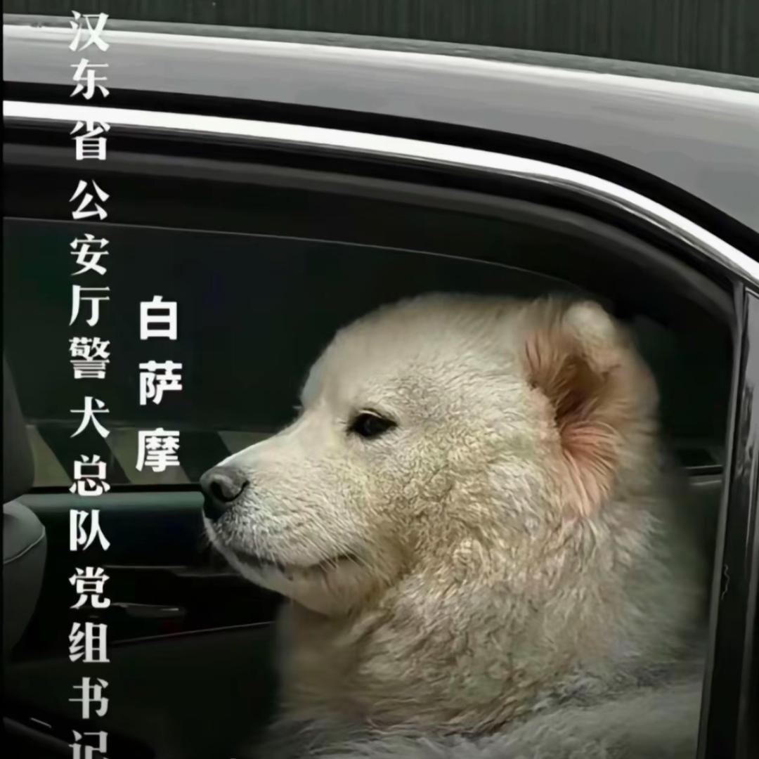 周六