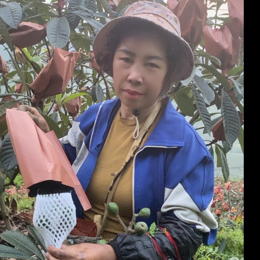 杨明英