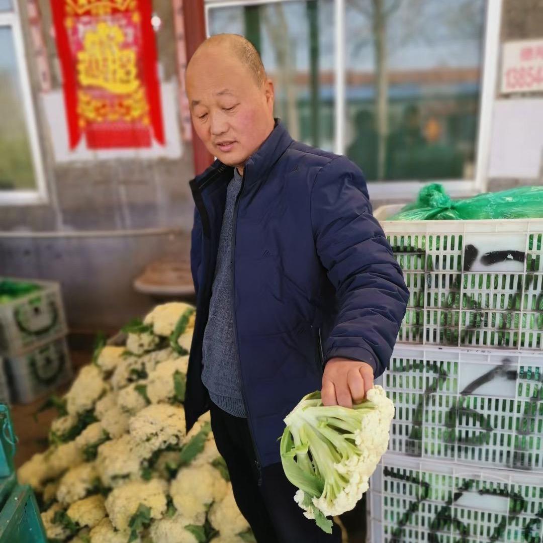 德刚瓜菜专业合作社