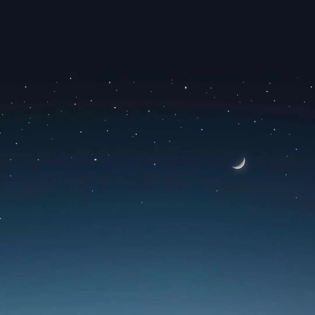 夏夜星光下