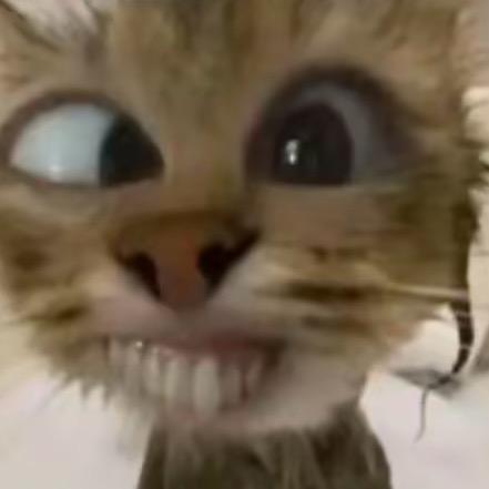 夏夏夏夏夏夏夏夏🍀