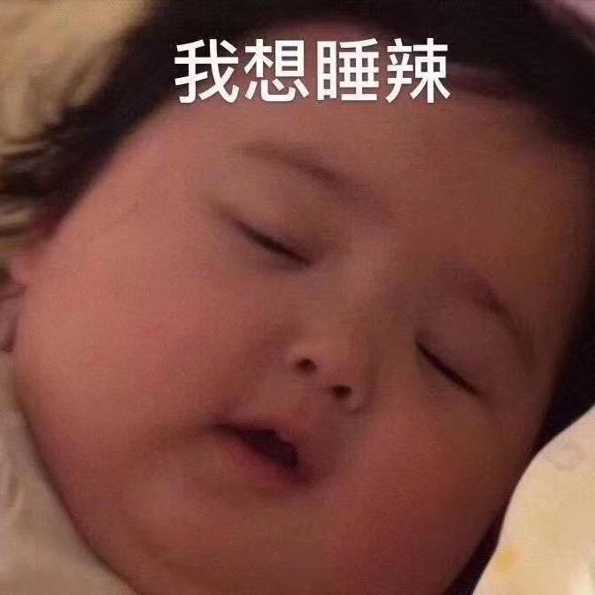 怕生的猫