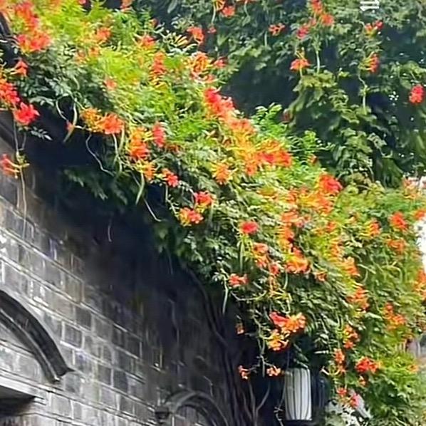🇨🇳风雨同周💞