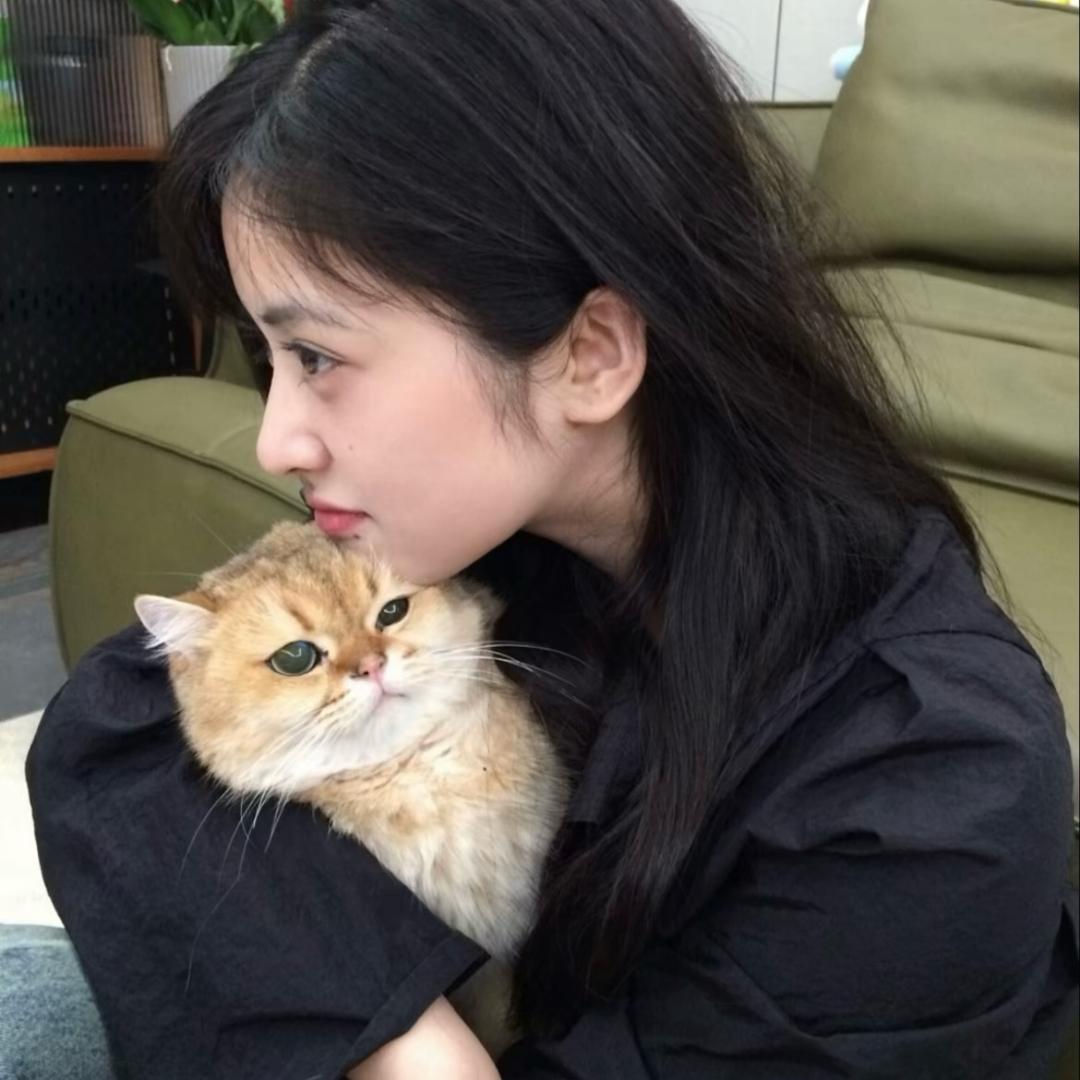 楊欣_