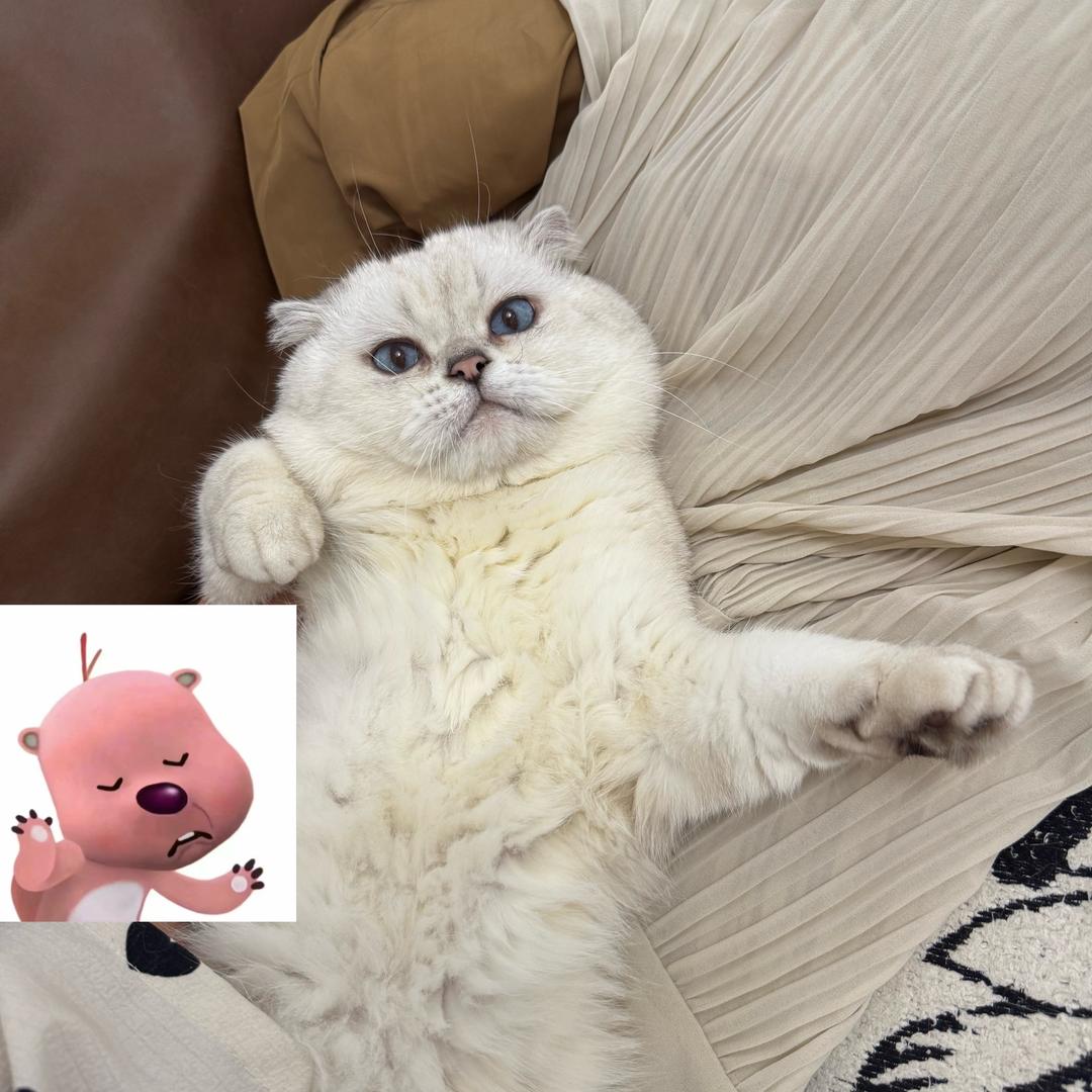 红果果爱吹绿泡泡