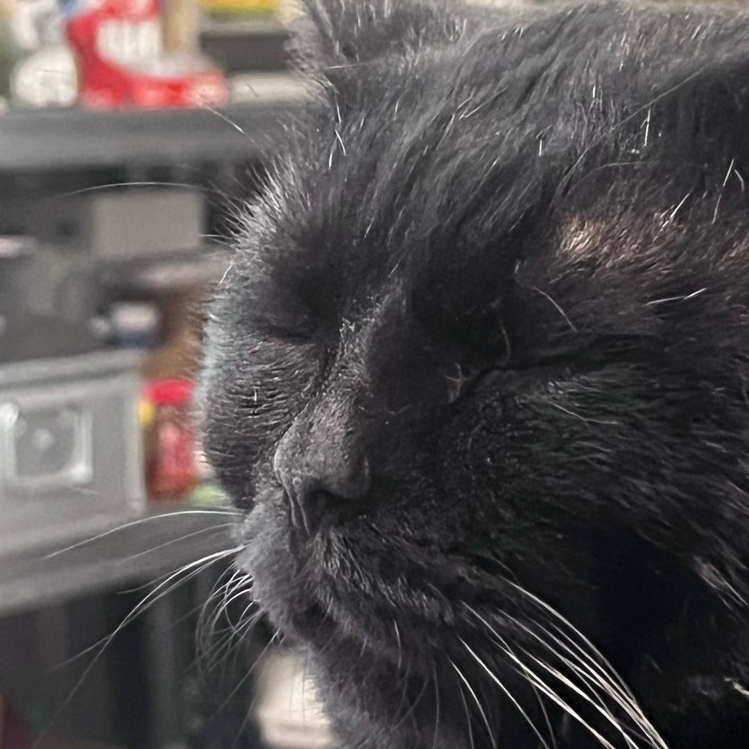 安神补脑液（戒烟版）