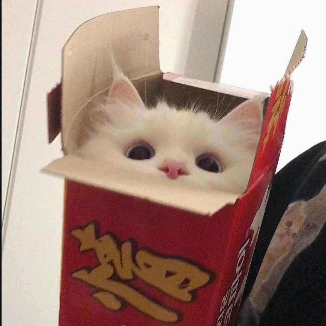 一条鱼🐟.