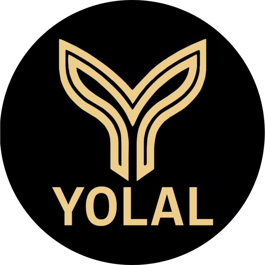 YOLAL启智未来数码生活