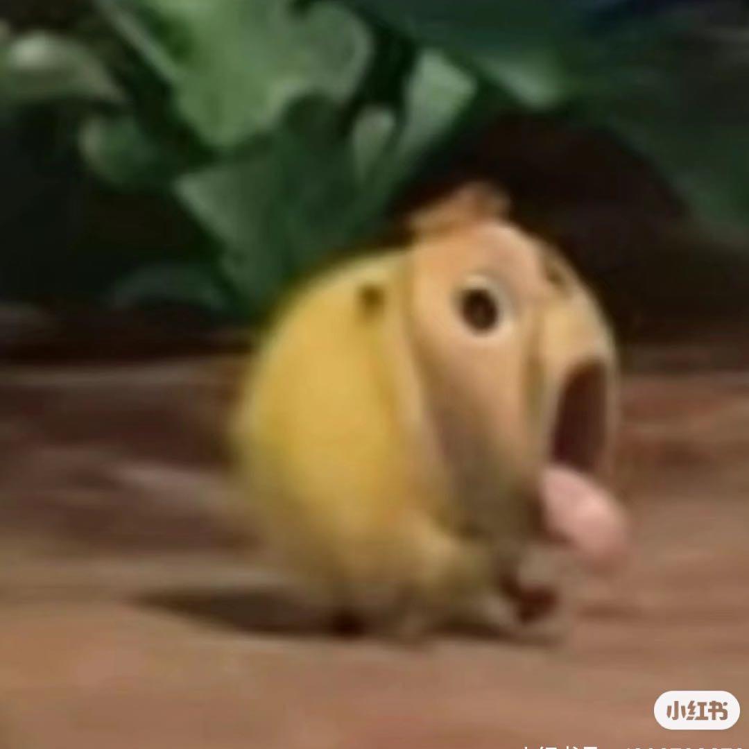 是瑜不是鱼🧜‍♀️