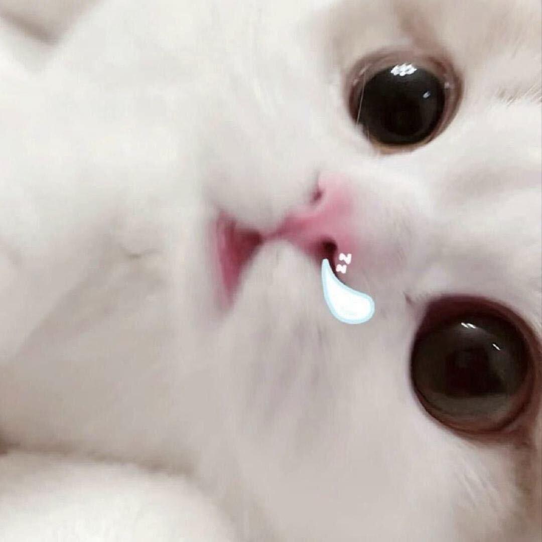 cute baby