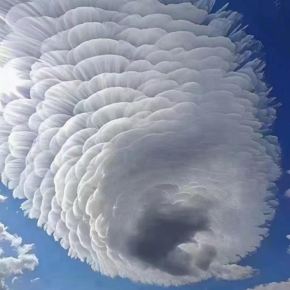 宜宾团队