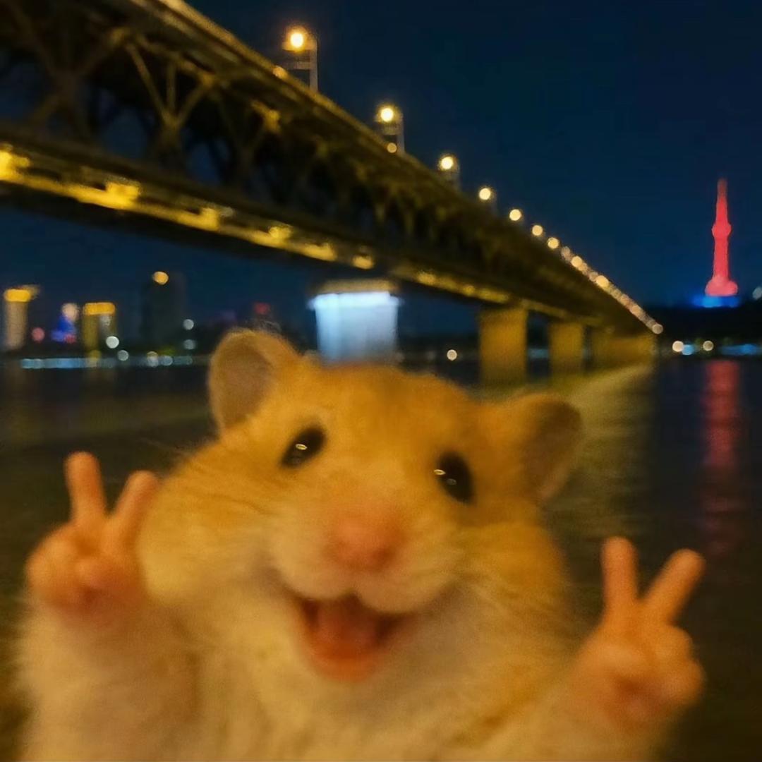 阿兎