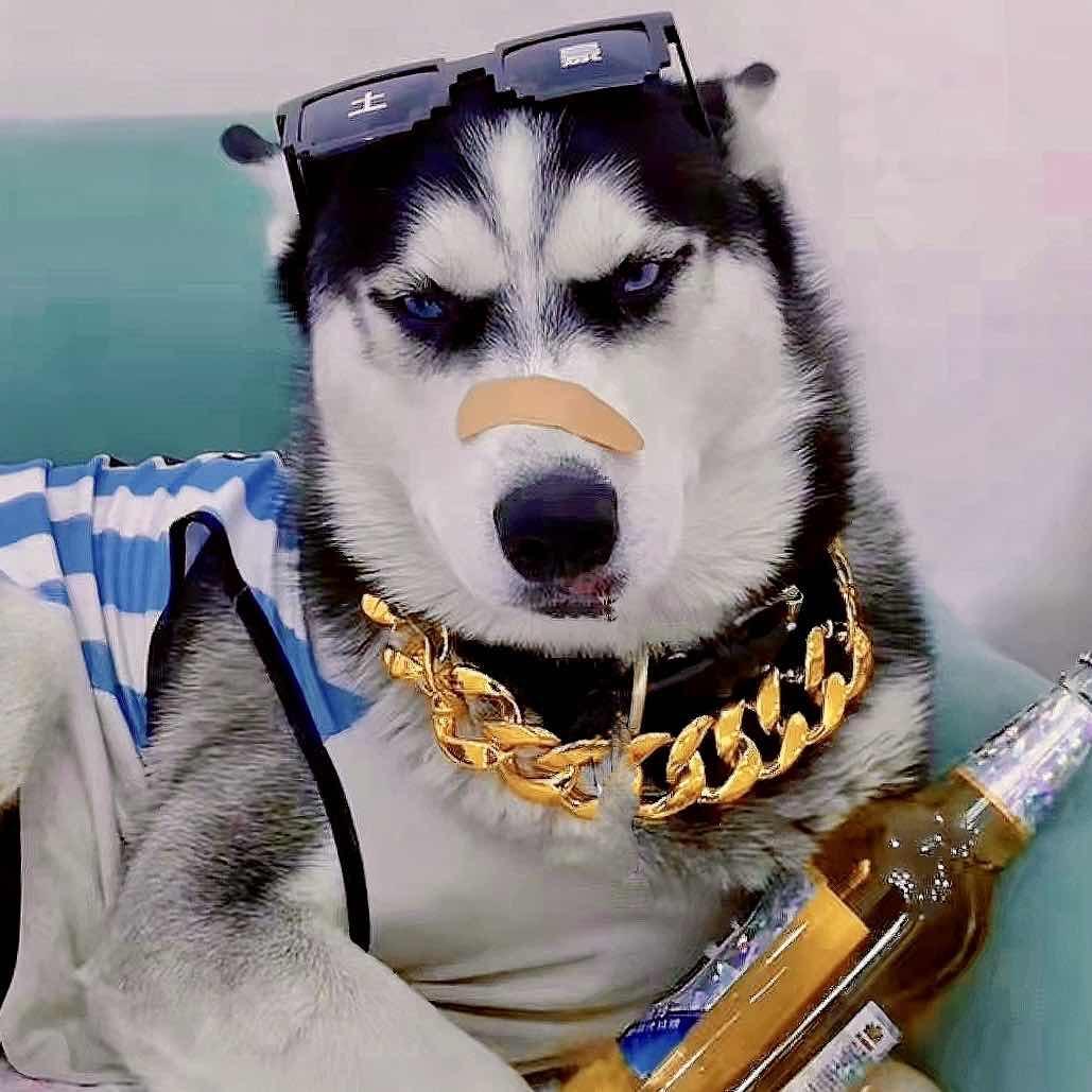北