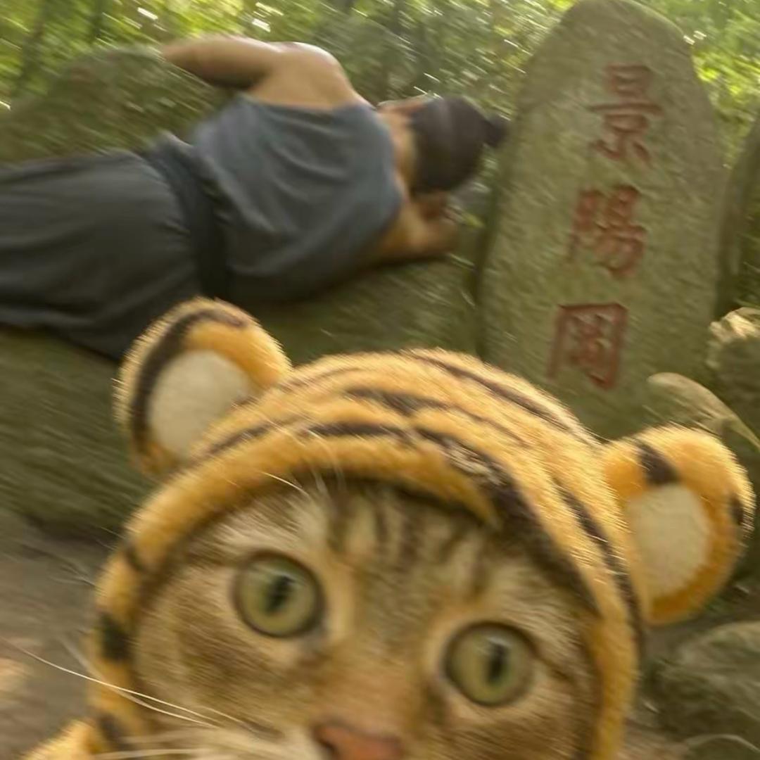 武松打猫