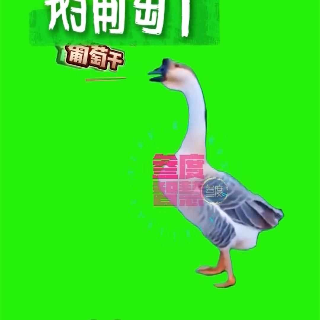 暖洋洋🐑⁹²³¹(是二手车)