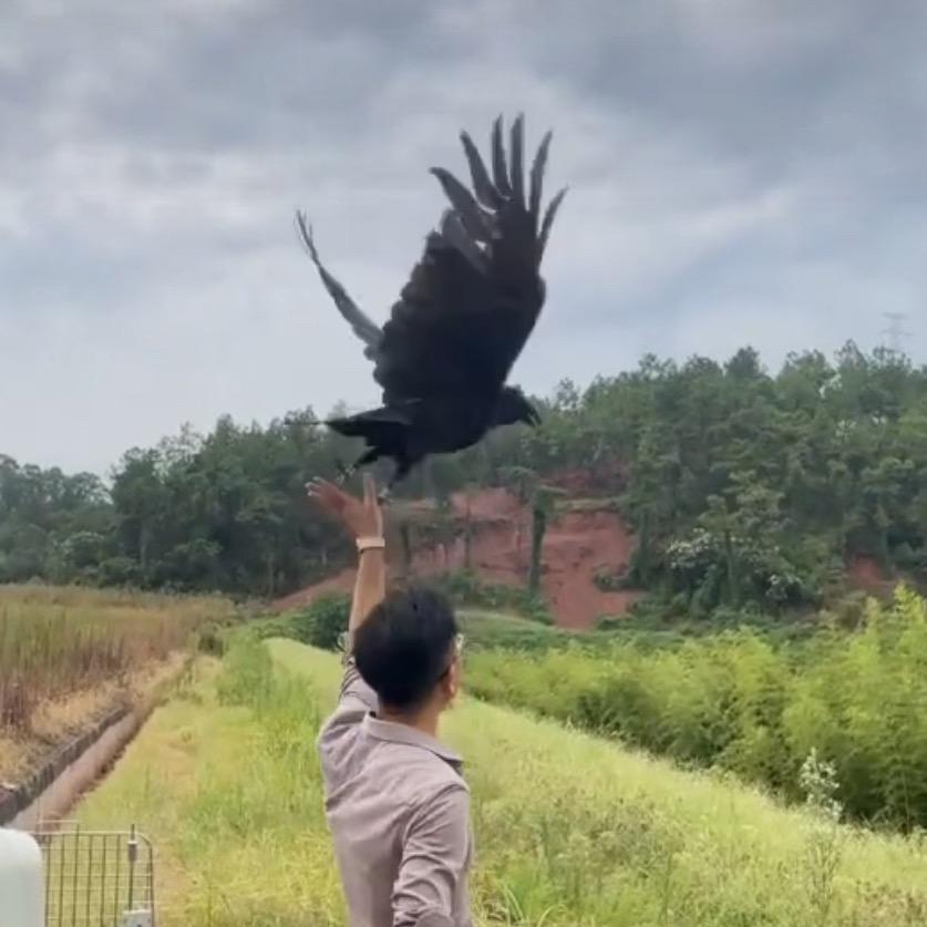 佛陀书生助理