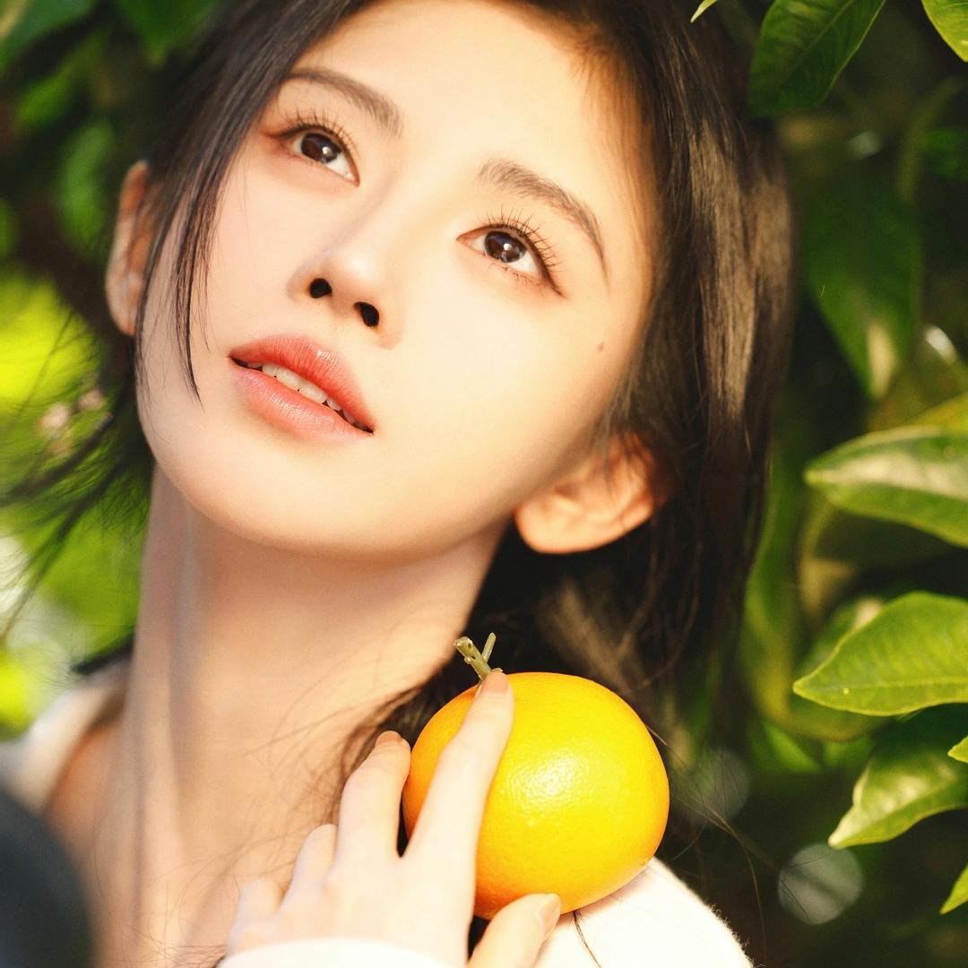 橘子树的小铺