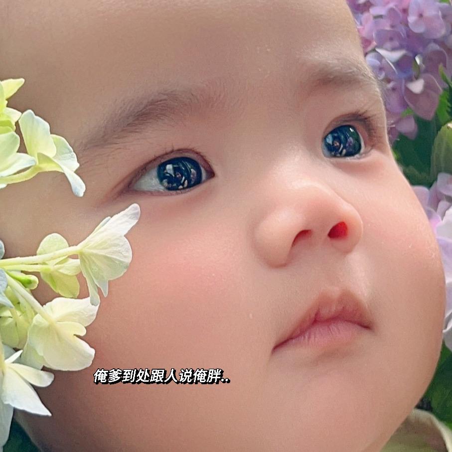 一张李子
