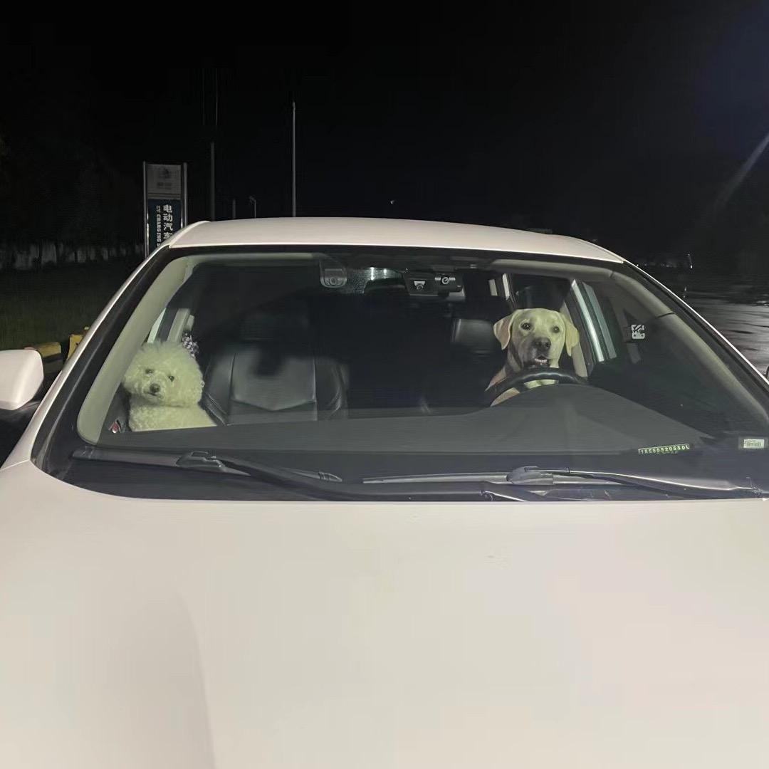 也许明天🕳🕳️🕳️🕳️🕳️