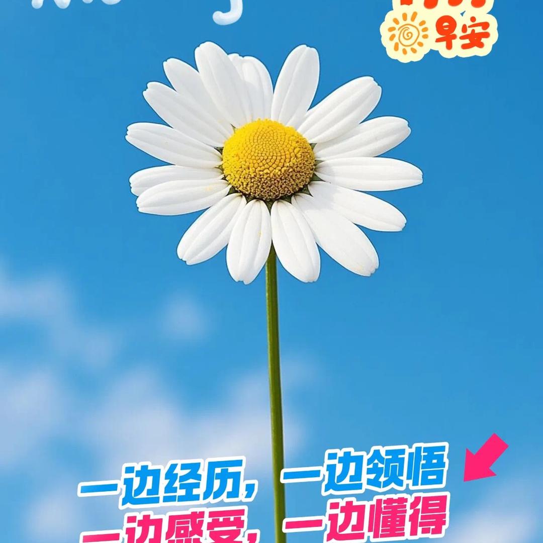 非黄腾达