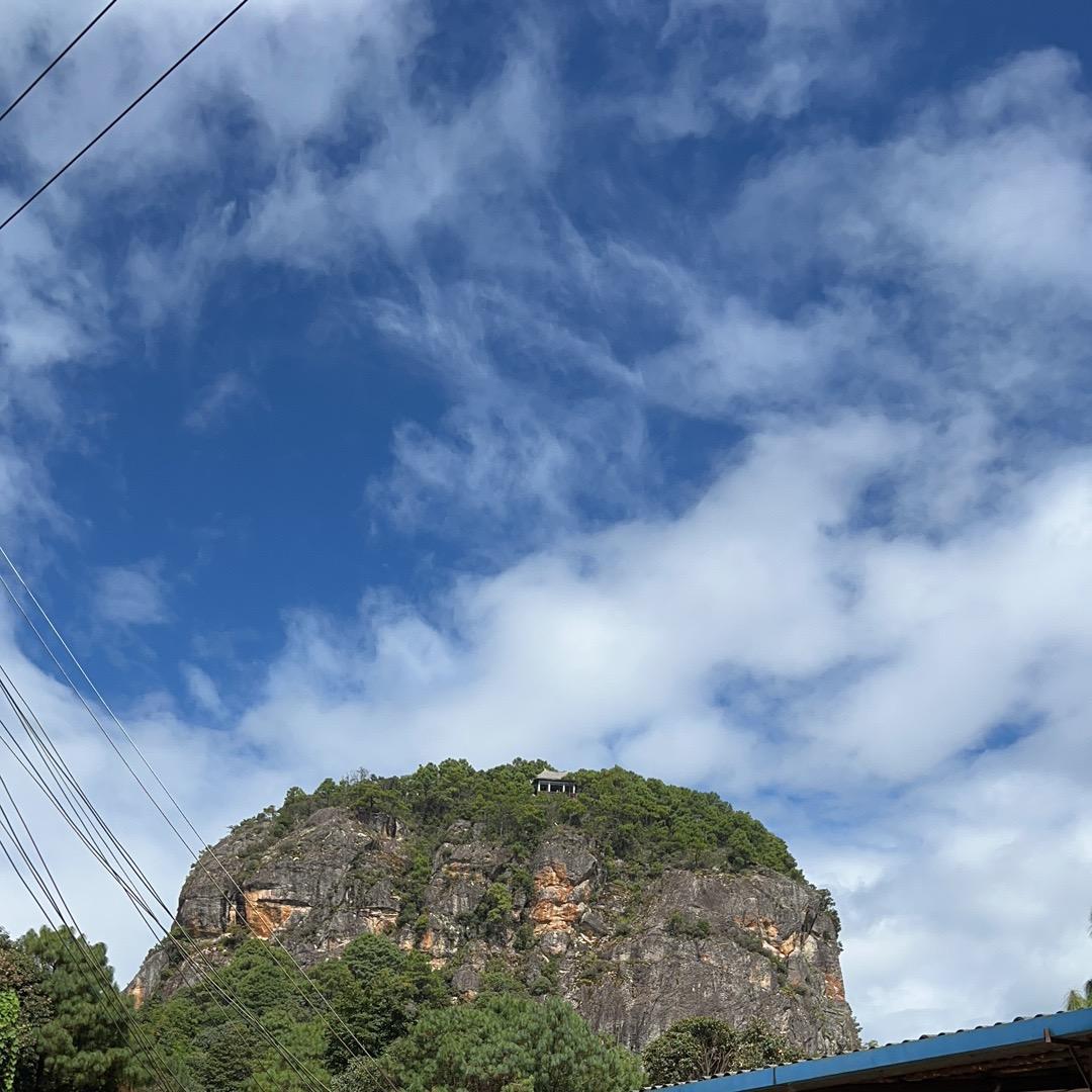 山大王