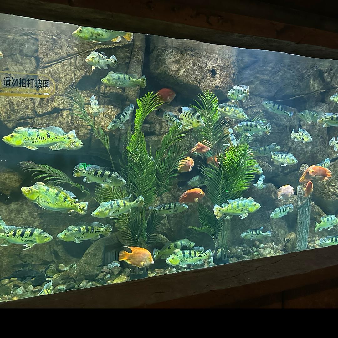 绘颜皮肤护理工作室