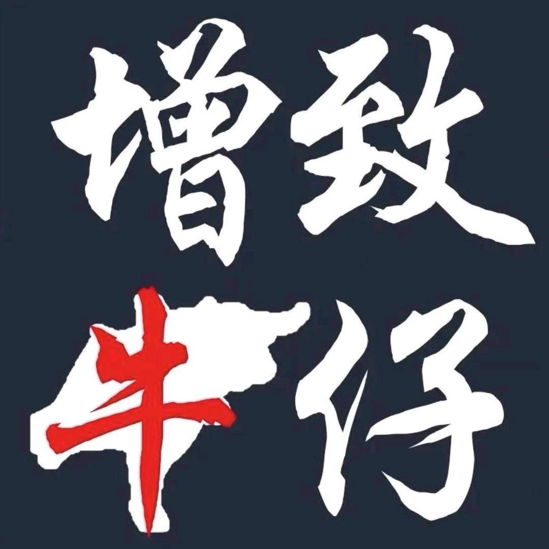 增致牛仔ZENGZHI服饰女装