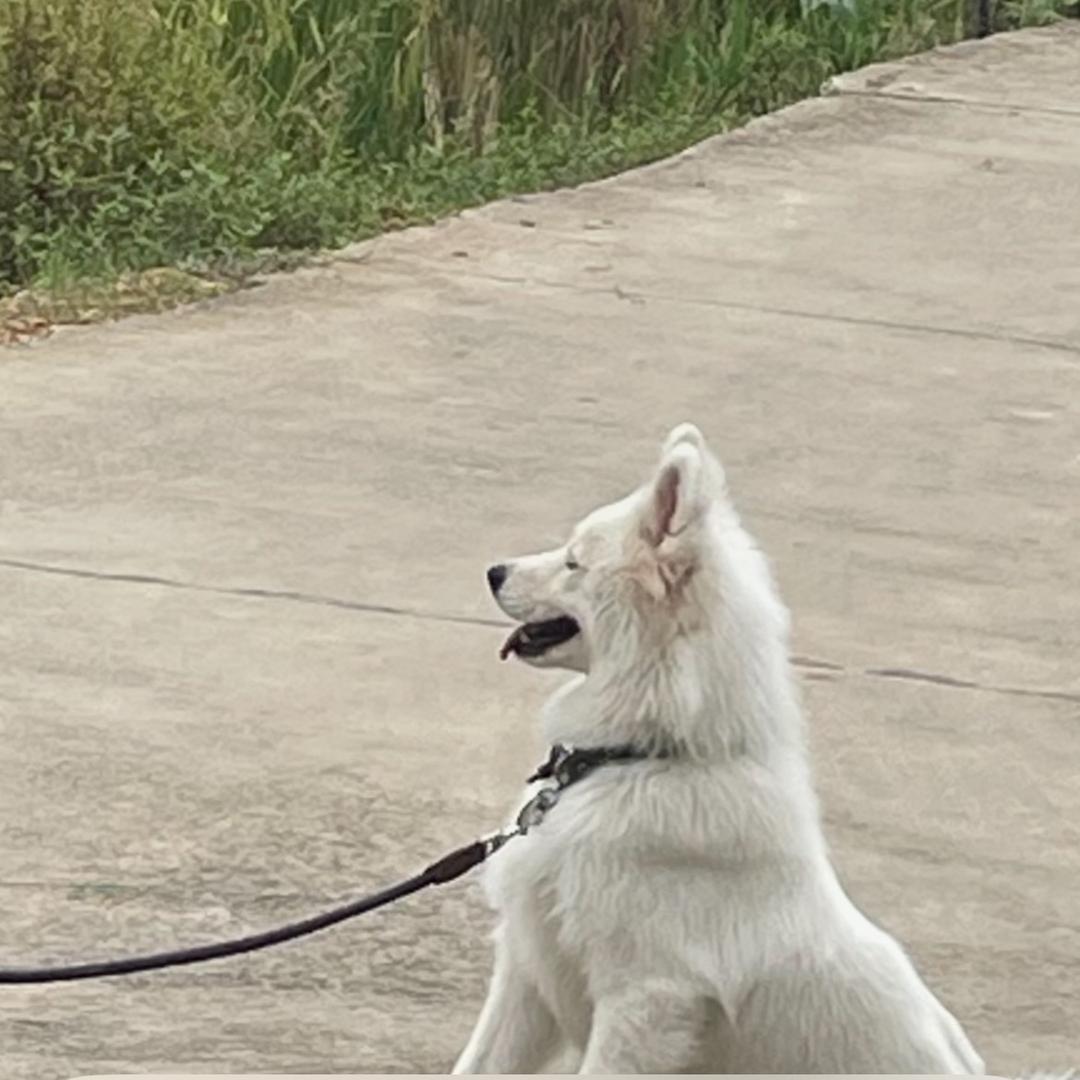 小崔。