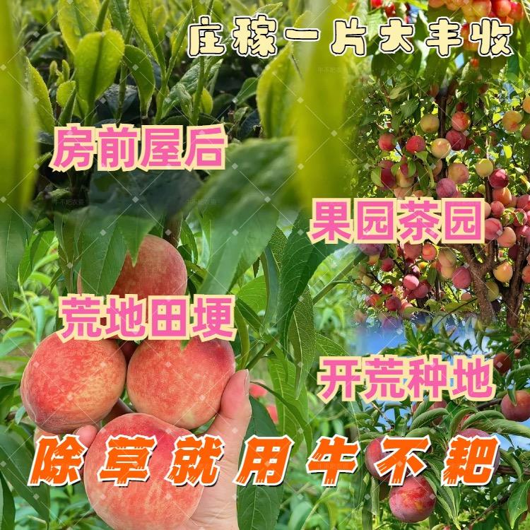南昌创一丽雅说农资te te te