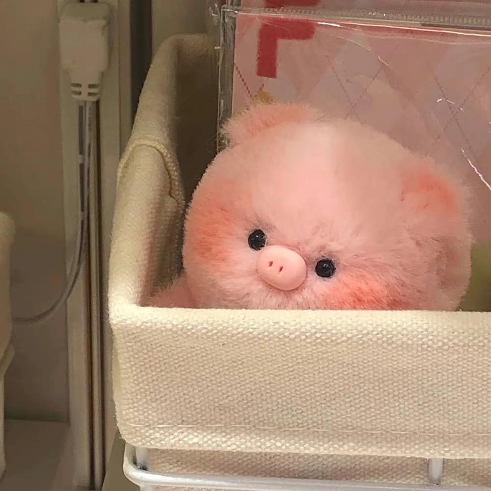 就吃一点点