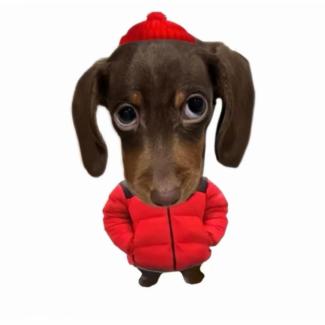 不要对我冷冰冰.