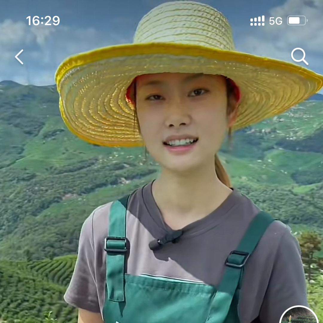 鼎锡和铭茶叶旗舰店