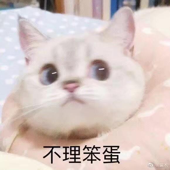 团宝（三角洲行动）