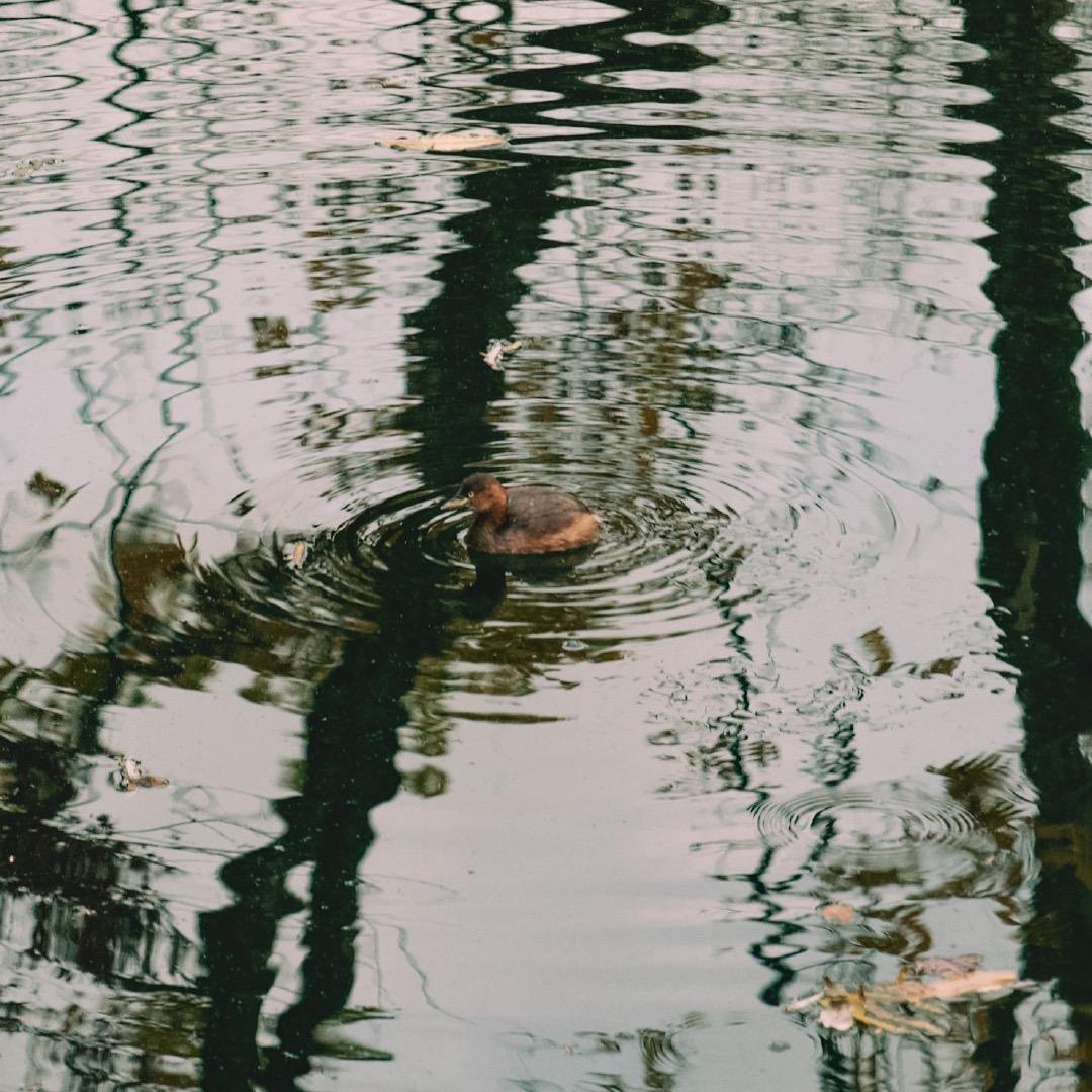 今天也要睡个好觉^_^