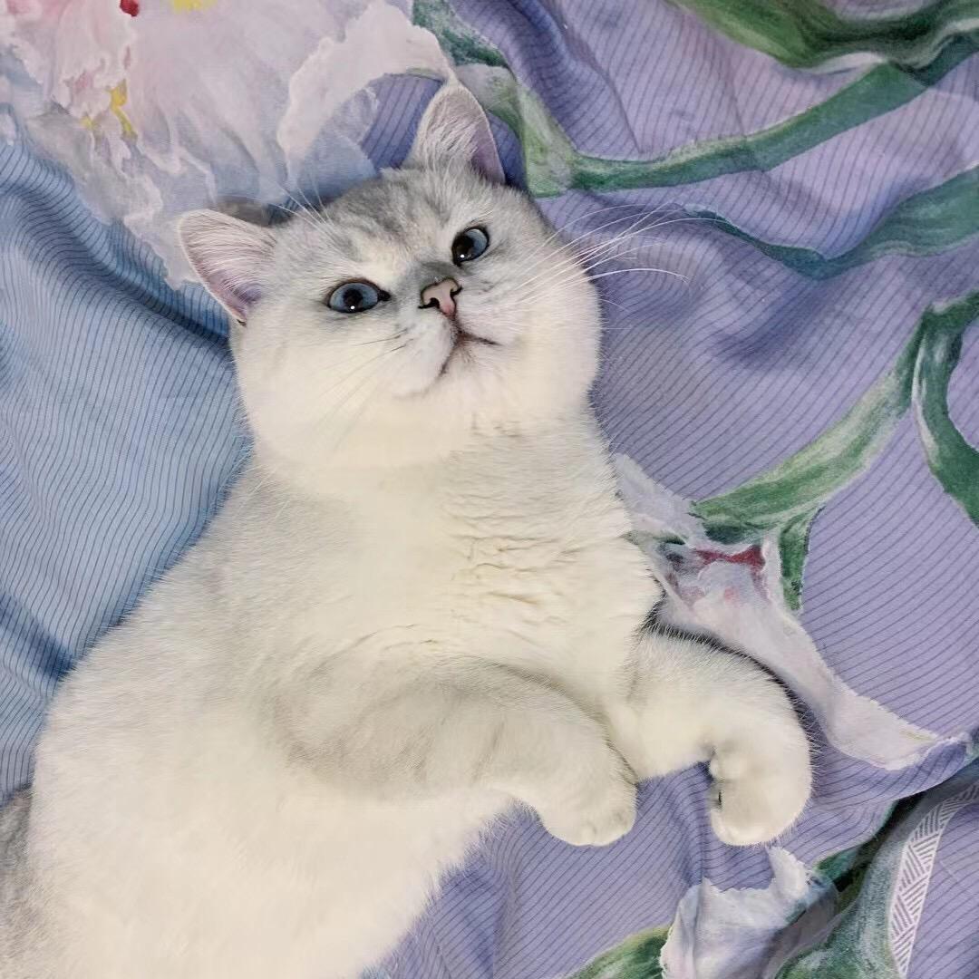 小奶球～