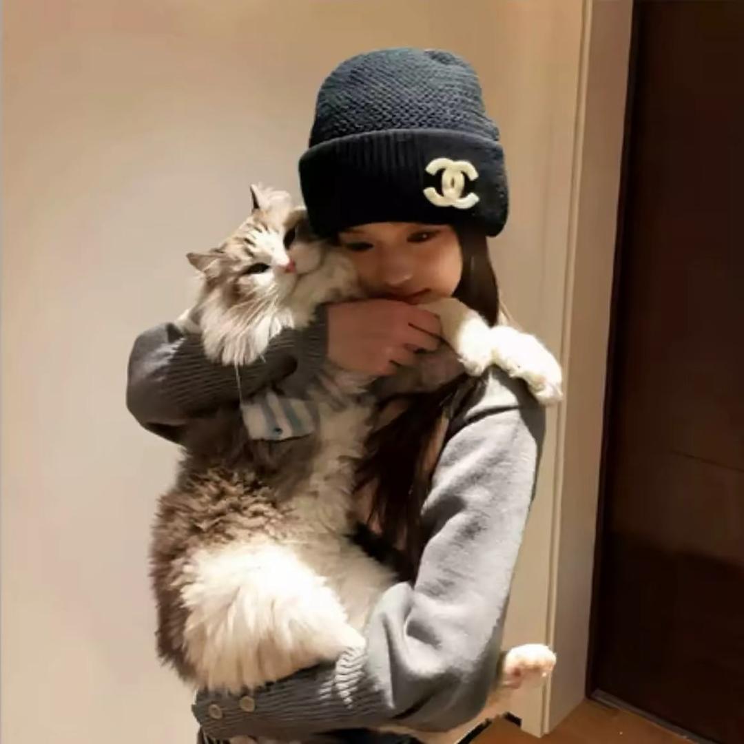 嘉菲猫